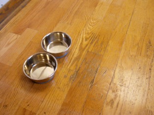 Dog Bowls Damaged Engineered Kitchen Wood Floor