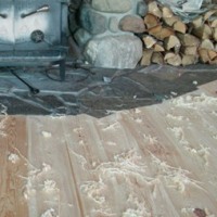 Fresh Shavings from Hand Scraped Wood Flooring Project