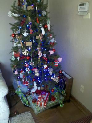 Christmas Tree <br> over <br> Floating White Oak Floor <br> With <br> Brazilian Cherry Border